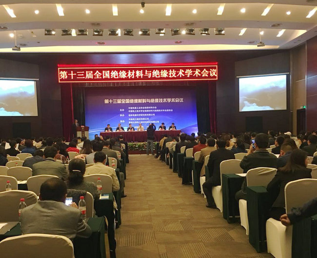 mile易游yy参加第十三届全国绝缘材料与绝缘技术学术会议！